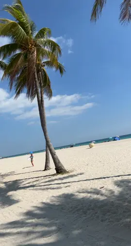 My happy place. #fyp #fypシ #skate #skating #rollerblading #beach #hollywood #hollywoodbeach #boardwalk