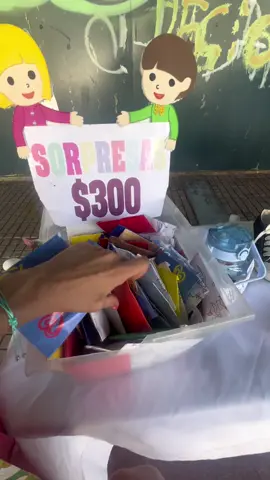 Hola quiero 3 sorpresitas 🥹 gatitosmapaches, mis disculpas por no subir las segundas partes, no he estado bien de ánimo y poco a poco me estoy dando el valor de retomar mis cosas 🥲 🙏🏻#🦋✨ #fyp #chile #feria #sorpresas #4444 #gatitosmapaches #juguetes #random #rancagua #funny 