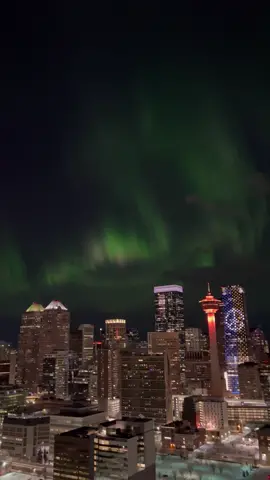 The Aurora Borealis shimmering above Calgary. #yyc #aurora #auroraborealis #northernlights 