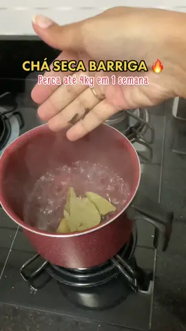 #emagrecer #perderpesorapido #emagrecerrapido #chadetox 