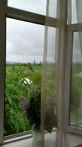 #حالات_واتس #ستوريات #الصباح #دعاء 