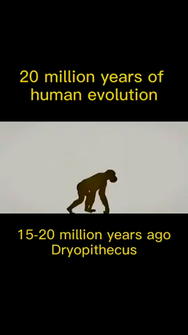 #fyp #animation #unpacking 