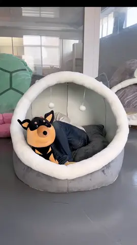 能装人的毛绒窝可折叠好收纳#能装人的狗窝 #优趣优品 #谐音梗玩偶 #单身狗窝认认真真做毛绒玩具 #礼物�� #礼物推荐 #礼物就是因为用心才显得珍贵 #送礼物的正确方式