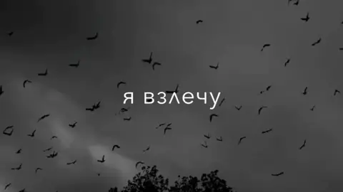 Треки в тг канале 🖤✨