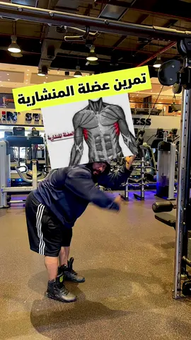 تمرين المنشارية يا شباب ضروري مثل تمارين المعدة خصوصا الي عندهم دهون اسفل الصدر ومنطقة الباي بنات و شباب #جانتي #جانتي_شعبان #جانتي_فانز #جانتي_فانز #جانتي_شعبان😂 #جانتي🤣 #جانتي_شعبان_نصايح #الامارات #دبي #ابوظبي #عراقي #العراق #بغداد #اربيل #سعودية🇸🇦 #كويتيات_تيك_توك #تونس #جانتي_شعبان 