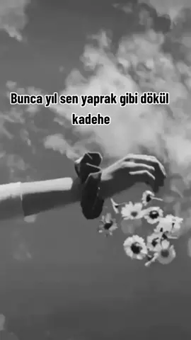 Yaprak gibi dökül kadehe...#keşfetimiaçç #keşfetiktok #keşfet 
