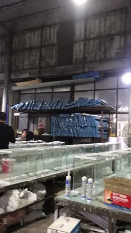 Nice work day, different the mini fish tanks#aquarium #fishtank #glasstank #aqua #factory #factorywork #pet #petsupplies #turtletank #fishlife #fyp