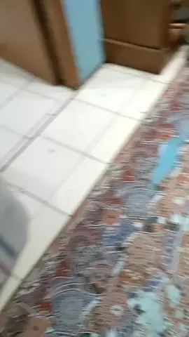 Yank mau PO Jersey team nya yu silahkan merapat bos ku .. menerima Pembikinan Jersey Team.Voli.Bola.Futsal.jersey Komunitas.Pesan pesanan Intansi.Dll kwalitas Jangan di ragu kan lagi bos ku . Jenis bahan yank d pake Dri-Fit premium.. 100% Adghil Sport Amanah WA ADMIN 085659858781