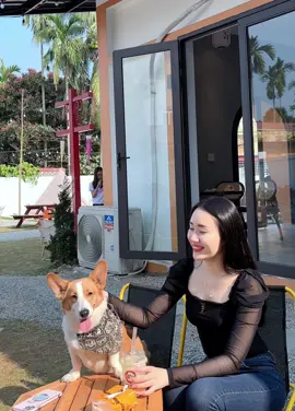Mọi phiền lo dang dở đều hoá tan theo làn mây ☺️ #trending #hot #music #hotdog #cute #girl 