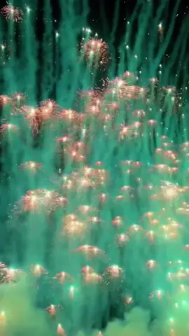 1000 jellyfish launched at the time,so beautiful#fireworks#jellyfishfirework#fypage#foryou