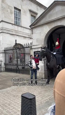 #horseguardsparade #changingoftheguards #royalguards #thekingsguards #kingsguard #kingshorse #fyp #foryou #fypシ 