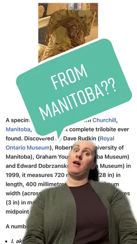 In honour of Trilobite Tuesday! #paleontology #trilobite #biggest #Manitoba #churchill 