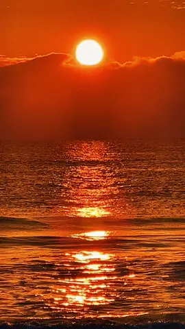 #houseoftherisingsun #fyp 