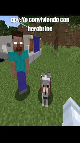 Yo conviviendo con herobrine #parati #Minecraft #gracioso #viral