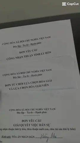 Sau cuộc hôn nhân này mong cả 2 chúng ta sẽ trưởng thành hơn. Sau gần 7 năm bên nhau trên tờ giấy li hôn chỉ là 2 chữ 
