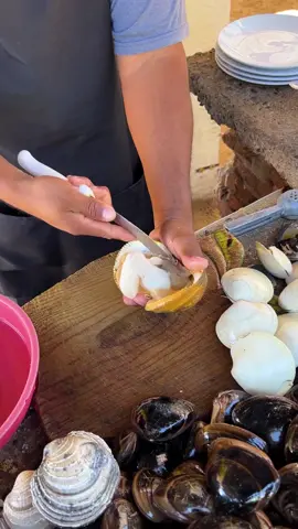 La pierna de mujer #almeja #ostra #sonora #delicious #parati #rutalanueve 
