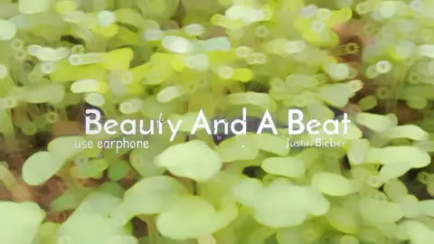 ganteng itu bonus bisa berkebun itu harus
