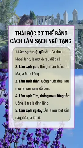 THẢI ĐỘC CƠ THỂ… #meovatdoisong #Suckhoe #phunu #xuhuong2023 #xuhuong 