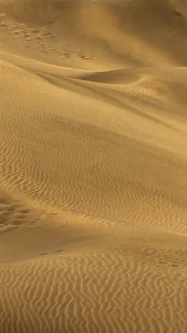Escape to the desert with the soothing sounds of the wind 🌵🌬️  #desertwindambience#windydesertsounds #desert #naturelovers #stressrelieftips  💆‍♀️