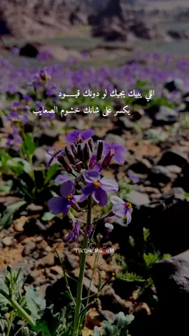 ( من يريدك .. سيصل إليك حتماً )  #تصويري📸 #تصميمي❤️ #تصميمي🎬 #تصويري_تصميمي #حائل #حايل #حايلنا #شعر #من_يريدك_يعرف_جيدا_كيف_يحافظ_عليك #من_يريدك_يستطيع😔💔 