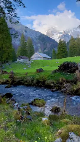 Swiss Countryside🇨🇭 #switzerland #swissaround #tiktoktravel #landscape #swiss #nature 