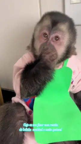 Receitinha da Olívia. ☺️