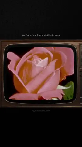 dizem que ele era louco #fy #rap #fabiobrazza #rapnacional #letras #hiphop #foryou #rapbr #mensagem #fyy #fypシ #viral 