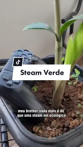 Respondendo a @_carlin_12344 O que é Steam Verde?! #pcgamer #steamverde #jogosgratispc  #hogwartslegacy  #oqueesteamverde 