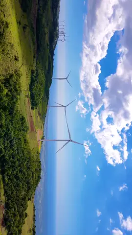 Do you know this location? Munro Wind Farm, 📍St. Elizabeth   . #windfarm #malvern #stelizabeth #jamaica #jamaica🇯🇲 #876 #jamaicabydrone #foryoupage  #visitjamaica #greenenergy #wind #windpower #windturbine #alternativeenergy #jamaica #stelizabethjamaica #drone #dronephotography #aerialphotography #yourshotphotographer #landscape #landscapephotography #tiktok 