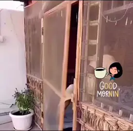 #مقاطع #صباح_الخير #جوزيف #جوزيف_البحريني 