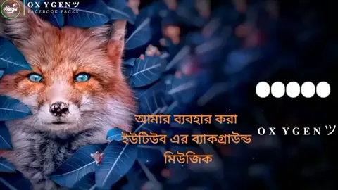 আমার ব্যবহার করা ব্যাকগ্রাউন্ড মিউজিক।