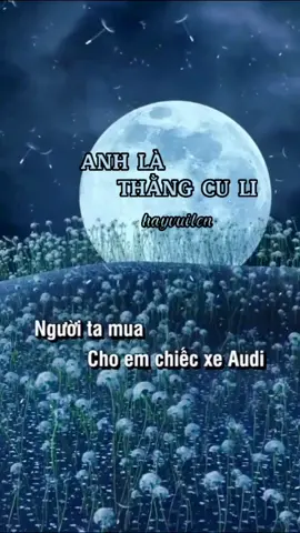 Người ta mua cho em chiếc xe audi#karaoke #hayvuilen 