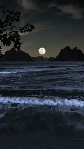 #nightscenery #beachscenery #naturebeauty#nicescenery #naturescenery4kvideo #naturelover #relaxing #niceview #amazingview #beautifullview #spectacular #satisfying #videobackground #livewallpaper #foryou #fypviral #fyptiktokpage #goviraltiktok 