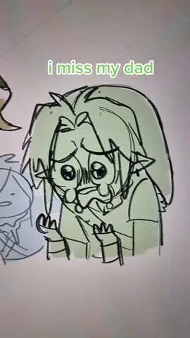 #legendofzelda #botw #oot #legendofzeldaocarinaoftime #loz #link #breathofthewild 