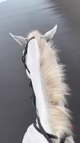 حلم المراهقه خيل وبحر وتحقق اليوم بعمر 25 سنه 🥹♥️♥️♥️♥️' #جزيرة_بالي #البحر_الأسود🖤 #foryoupage #explore #fly #اكسبلور 