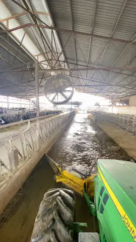 Limpieza de pasillo, directo a la blaza de purin #vaca #cow #limpieza  #granja #fram #maquinaagricola 