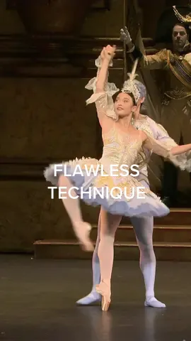 The Sleeping Beauty: full of demanding variations and brilliant pointe work🤩 #ballet #foryou #dancers #sleepingbeauty 