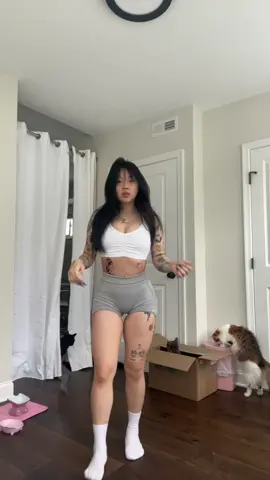 ignore my dancing & look at my cats 