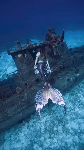 Mermaid finds sunken ship 🧜‍♀️ #mertok #mermaidtiktok #mermaid 