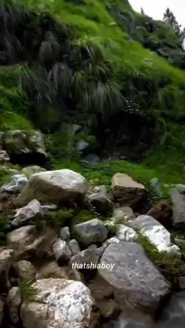 Mera HUSSAIN a.s Aik Hai❤️✨#WeLoveToSmile 