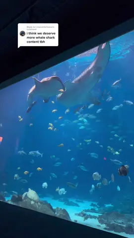 Replying to @l.macandcheese  We’ll keep it coming. 