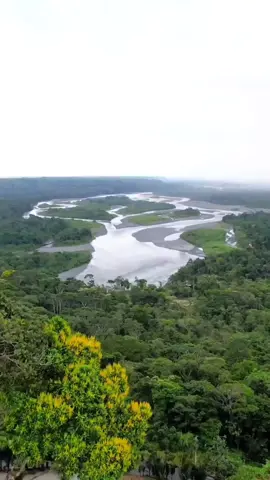 📌 La Amazonia Ecuatoriana 🇪🇨 #Ecuador 🇪🇨 #allyouneedisecuador #ecuadortravel #ecuadorturismo #ecuadorturistico #ecuatoriano #napo #tena #pastaza #puyo #amazonia #paisajes  #ecuatorianosporelmundo🇪🇨🌏💫  #guayaquil #quito #turismo #world #travel #southamerica #latinoamerica #tourism #tourist #visit #destination  #fyp #foryou #parati #viral #tiktok #fypシ