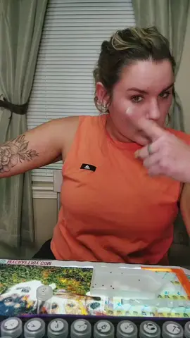 I'm so aggravated by that box disappearing #diamondpaintingaddict #diamondpainting #diamondart #babybakedpotatoes #customdiamondpainting #ranchy 