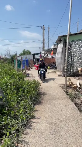 Nghệ thuật hớt tóc #tuncuibap2 #tuncuibap #vietdrama 