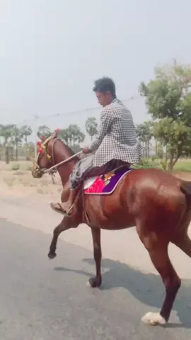 အညတရဘဝသမား