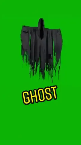 Ghost #ghost #greenscreeneffect #greenscreenchallenge #greenscreen #foryou #pfy #fyp 