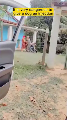 Galera, vocês precisam ouvir essa história! O nosso veterinário favorito foi vacinar um cachorro e acabou correndo mais que o Bolt! 🏃‍♂️💨 O engraçado é que o cãozinho não queria nem saber de receber a agulhada e foi atrás do nosso herói de jaleco branco, que teve que sair correndo para não ser pego! 😂 Mas gente, calma! Não precisamos ter medo de vacina, né? Afinal, é para o bem do nosso amigão de quatro patas! 🐾 E já que estamos falando de medo de agulha, que tal marcar aquele amigo que fica tremendo só de pensar em furar a pele? 😅 E sabe o que mais ajuda a manter a saúde da pele do nosso pet em dia? Um bom shampoo antialérgico, é claro! E nós temos o melhor do mercado! 🧼 Então, não percam mais tempo e corre lá nos comentários para conferir o link do nosso shampoo! E não se esqueça de marcar aquele amigo medroso que precisa de uma ajuda para cuidar do seu animal de estimação! 🐶❤️