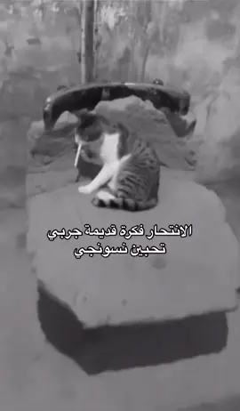 مرت علي أيام لا أبتسم لا نام 😔💔 