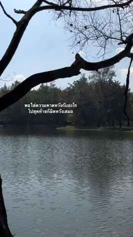 #เธรด #fyp #foryou 
