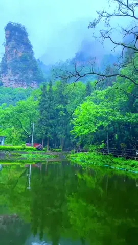 No copy, only beautiful scenery #scenery #beauty #beautiful #spring #foryou #cure #nature #fyp #fypシ 